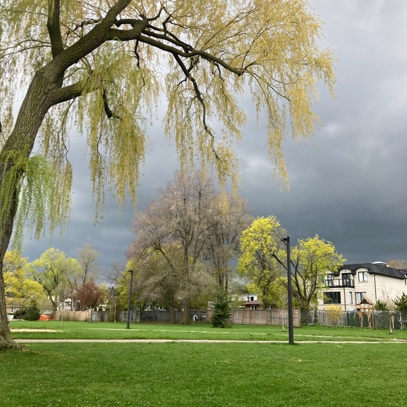 Nothing - Picture 1 of 1